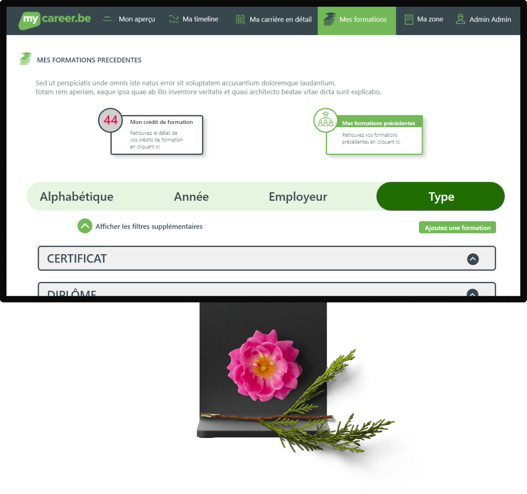 big image de screen de boxify 2